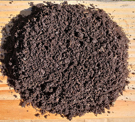 Premium Compost
