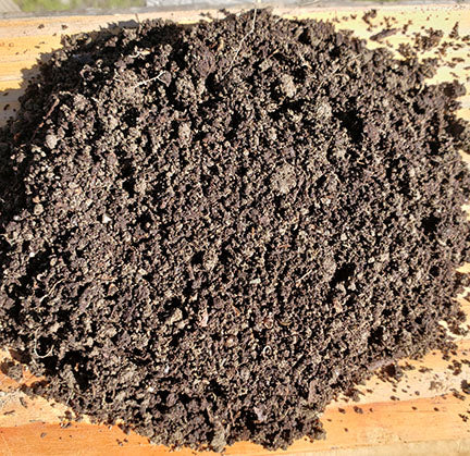 Premium Soil
